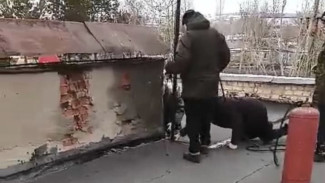 В Самарской области прокуратура занялась протекающими крышами