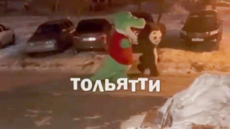 Жители Тольятти вышли на улицу и охнули от удивления