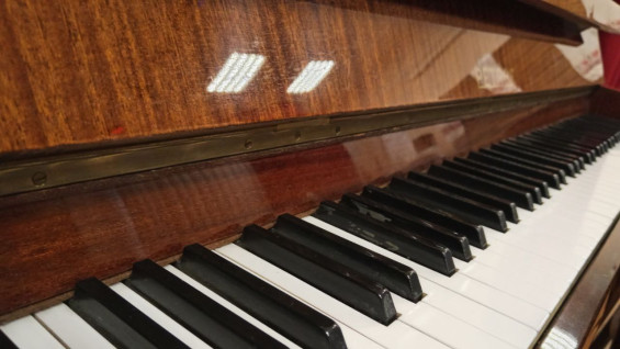 В Самаре в 2026 году на 18 млн закупят рояли, пианино, баяны, аккордеоны