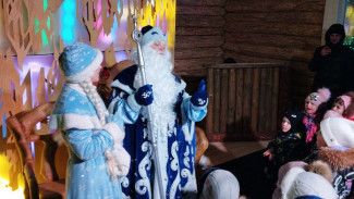 Мечты сбываются: стоимость костюмов Деда Мороза в Самаре снизилась на 21%