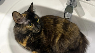 6 апреля отключат холодную воду на нескольких улицах Самары