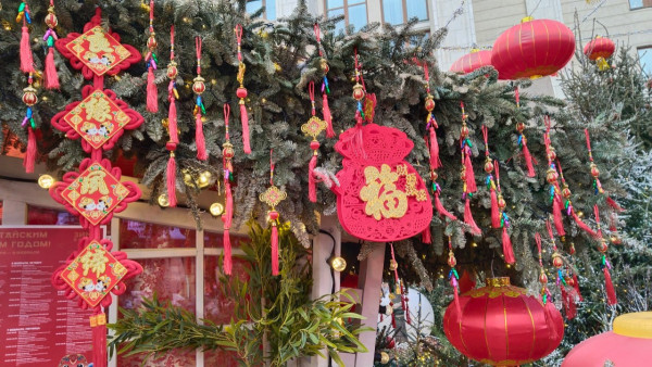 Что нельзя и можно делать в Китайский Новый Год 2026: советы на год Красной Огненной Лошади 