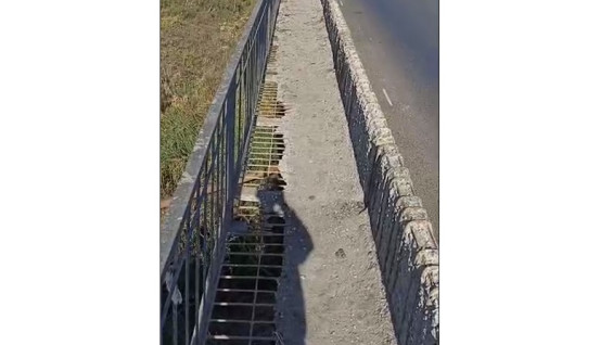 «Пропасть под ногами»: в Самарской области обрушается мост