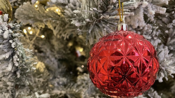 В МЧС рассказали самарцам, как выбрать безопасную ёлку