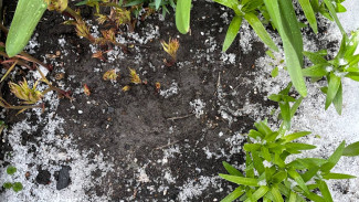 Самарскую область 22 июля накроет мощный удар стихии: град, ливень и шквалистый ветер