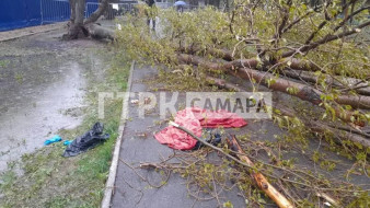 Появились кадры с места гибели девочки под деревом в Самаре 27 апреля