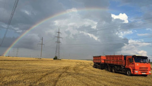 44 меры поддержки и рекордный урожай: итоги года для самарских аграриев