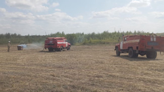 В Самарской области пожар охватил 23 га леса в знаменитых Рачейских Альпах