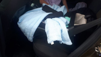 В Самарской области в ДТП пострадал новорожденный