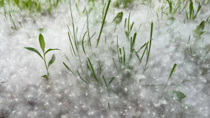 Самарцам рассказали, что отсрочит начало аллергического сезона