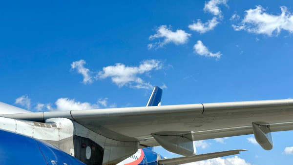 Самарские рейсы «Аэрофлота» отменили из-за системного сбоя 28 июля