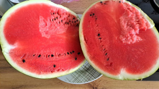 В Самару привезли первые арбузы, на что нужно обязательно обратить внимание