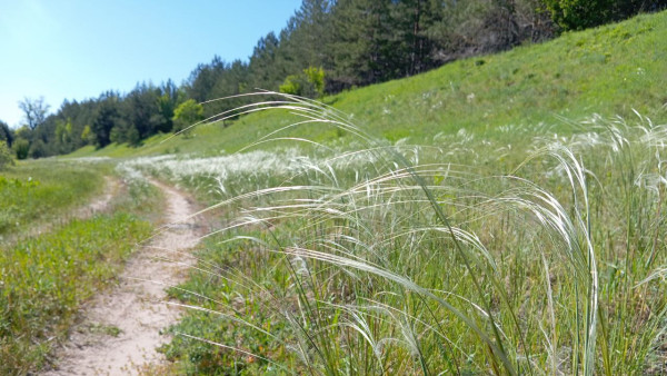 23 мая Самару захватят северо-восточные ветра