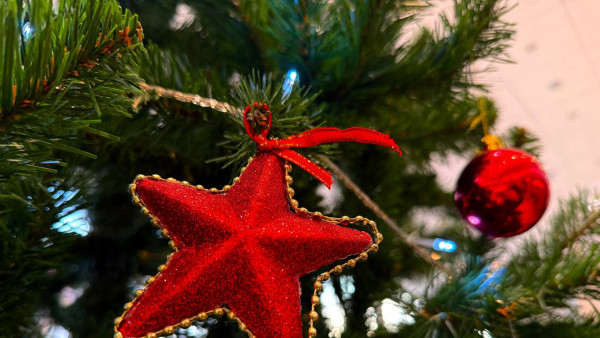 Стало известно, сколько самарцев планируют путешествовать на Новогодние праздники