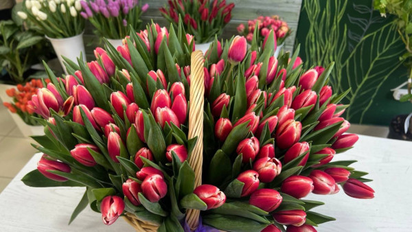 Самарских аллергиков хотят отправлять на удаленку весной