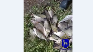 Под Самарой задержали браконьера с партией выловленной рыбы во время нереста