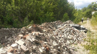 Прокуратура потребовала ликвидировать незаконную свалку под Самарой 