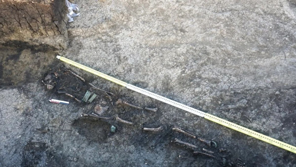 Самарские археологи нашли подтверждение человеческих жертвоприношений в древнем Поволжье