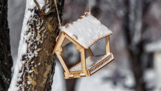 Самарцам советуют потратить рубли 23 января и вечером не покидать дом: что можно и нельзя делать на Григория Летоуказителя