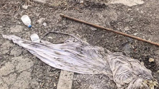 В Самаре коммунальщики достали из канализации на улице Мяги необычный предмет