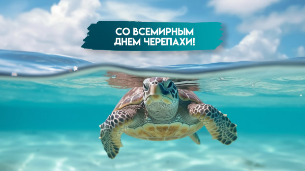 23 мая - Всемирный день черепахи: поздравьте обладателей редкого питомца