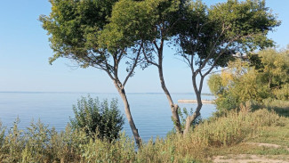 Купальный сезон в Самаре продолжается: вода в Волге остается комфортной
