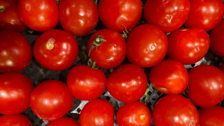 Эксперты рассказали, кому томатный сок может навредить