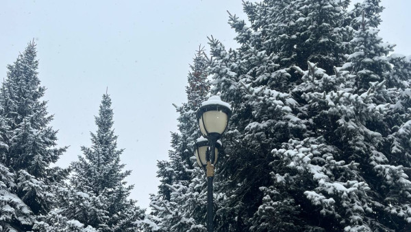 Последняя неделя зимы 2026 года в Самарской области окажется морозной