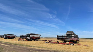 Патрушев: Россия сохраняет прогноз по урожаю зерна на уровне 135 млн тонн в 2025 году