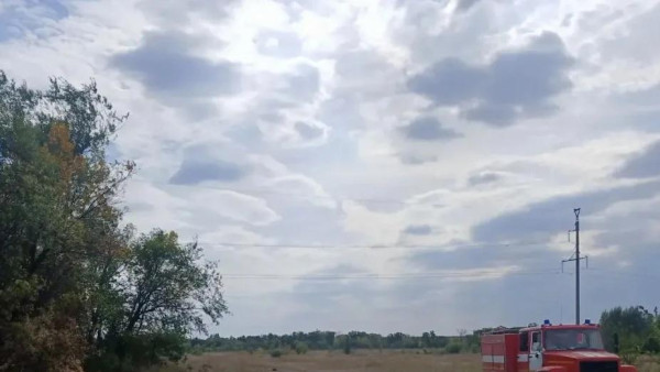 Появились кадры крупного лесного пожара 5 сентября под Самарой