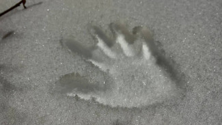 В Самарской области появились первые сугробы