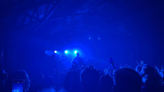 Губернатор Самарской области заступился за Е. Мизулину перед Е.Кридом