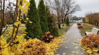 В Самаре рабочая неделя начнется с переменчивой погоды