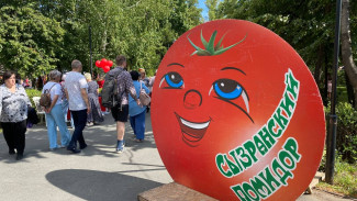 В Самарской области завершился юбилейный 25-й фестиваль «Сызранский помидор»