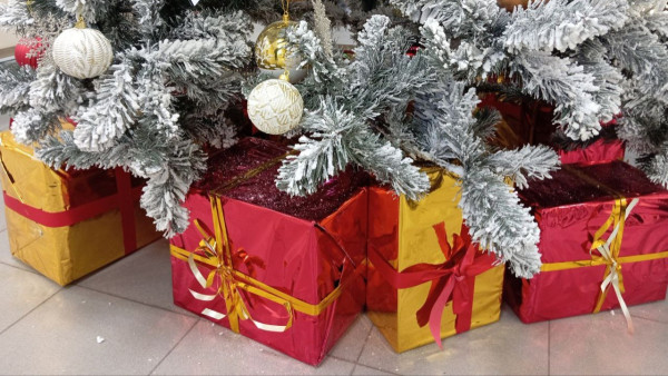 Самарцам рассказали, что лучше всего дарить в Год Красной Огненной Лошади - 2026