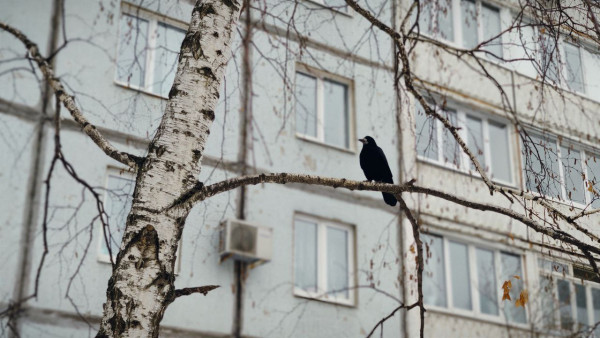 27 декабря - Филимонов день: почему нужно ложиться спать с чистой головой