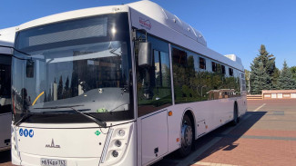 В Самарской области суд обязал чиновников организовать регулярные автобусные перевозки