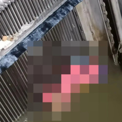 Самарцы ахнули от неожиданной находки в канализационных стоках 