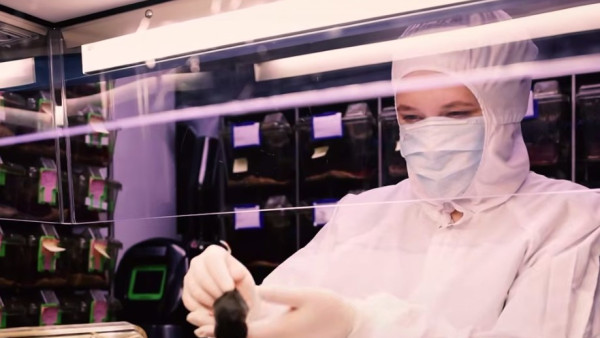 Россия отправит на орбиту «Ноев ковчег» уже 20 августа