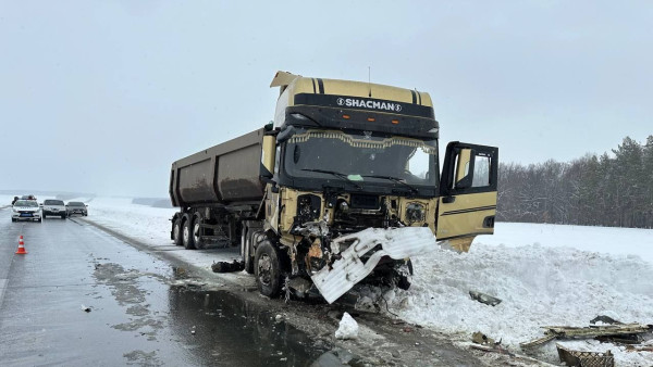 Названо точное число жертв лобового ДТП с фурой под Самарой