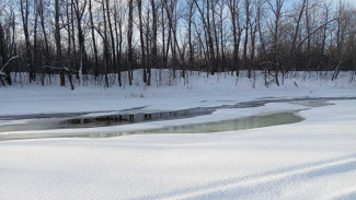 Врачи сообщили, где в Самарской области могут напасть заразные кровопийцы