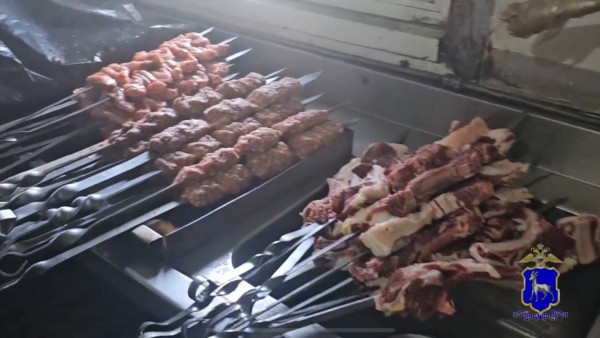 В Самаре по решению суда приостановили деятельность шашлычной, где по мясу бегали крысы