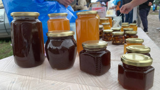 В Самарской области будут отмечать новый профессиональный праздник — День пчеловода