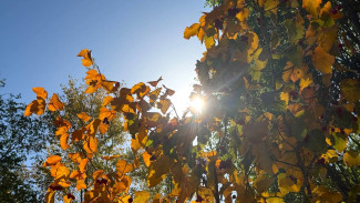 В Самаре ожидается аномально теплое начало октября