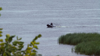 Роспотребнадзор запретил купаться на трех пляжах Самарской области