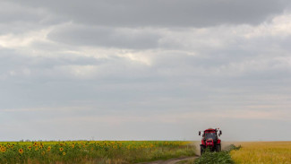 В Самарской области в 2026 году высадят больше 5 миллионов сеянцев на 850 гектарах