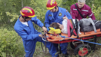 Под Самарой спасатели сняли с горы подростка с травмой ноги 