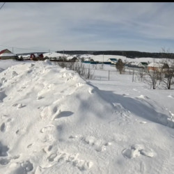 Под Самарой обнаружены два очага смертельной болезни 