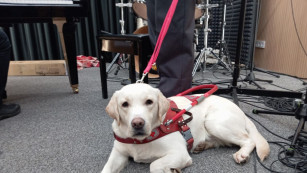 В Самарской области незрячим положены выплаты на содержание собак-поводырей 