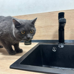 В Самаре жители 11 улиц могут остаться без холодной воды в период с 13 по 19 декабря